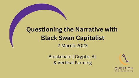 Questioning the Financial Narrative with Black Swan Capitalist