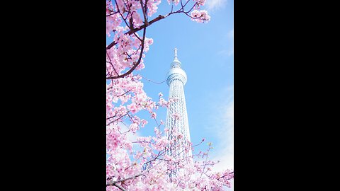 [ 4k ] Relaxing walk in Tokyo | Nakanosakaue - Shinjuku