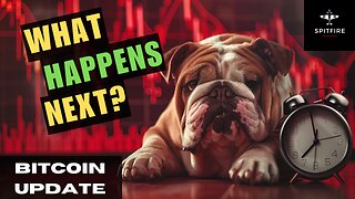 BITCOIN BTC CRASH? Our next trading setups