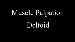 Muscle Palpation - Deltoid