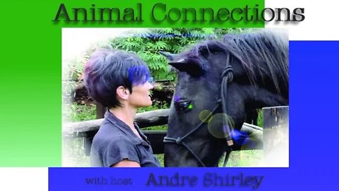 Animal Connections: Learning to Speak the Amazing Language of Animals Ep 1