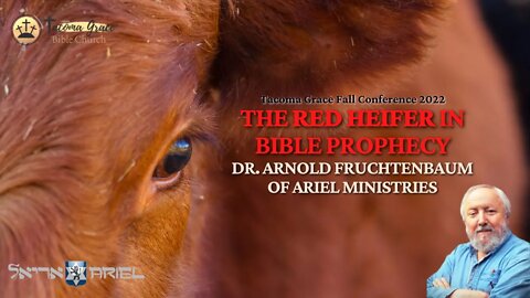 (Clip) The Red Heifer in Bible Prophecy | Dr. Arnold Fruchtenbaum (Fall Conference)