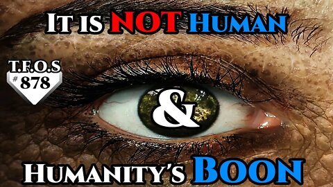 SciFi Story - It is not Human & Humanity's Boon | Humans are Space Orcs? | HFY | TFOS878