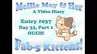 Video Diary Entry 037: Day 33, Part 1 - OUCH! That Hurts! Going For A Ride!