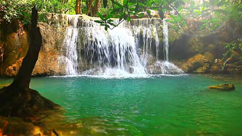 Beautiful waterfall, Serene Nature view for Sleep, Study, Yoga & Meditation 🧘‍♀️