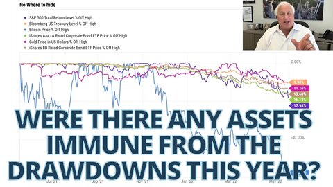 Were there any assets immune from the drawdowns this year?