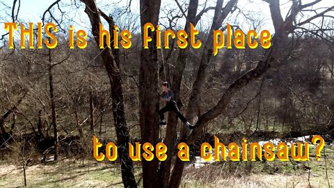 Redneck Tree Trimming With My Boys