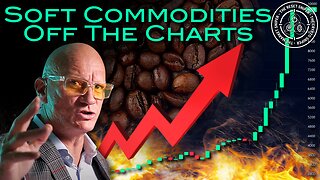 Cocoa, Robusta & Arabica Coffee: When Soft Commodities get Hard