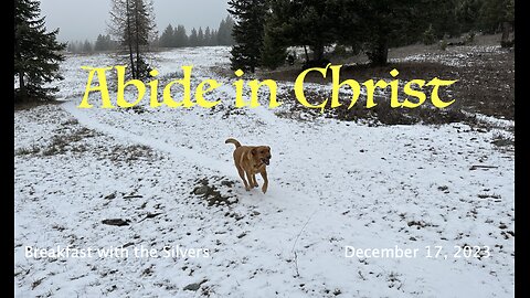 Abide in Christ - Breakfast with the Silvers & Smith Wigglesworth Dec 17