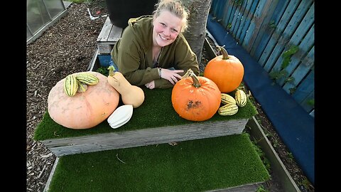 Harvesting In FALL :Allotment Garden