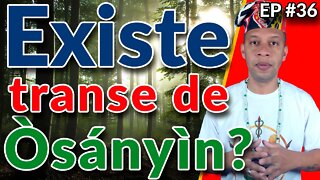 Transe de Osanyin no Candomblé - EP #36