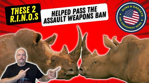These 2 RINOS Helped Pass The Assault Weapons Ban!!