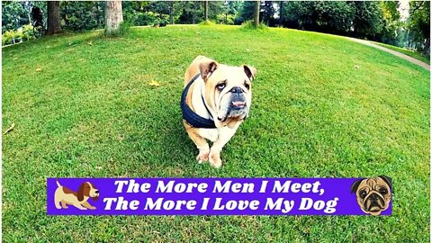 🤣Funny Dog Videos 2022🤣 🐶 It's Time To LAUGH With Dog's Life