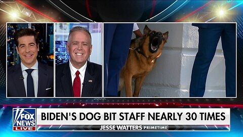 Tim Miller: Who's More Important Here - The Dog Or The Secret Service Agents?
