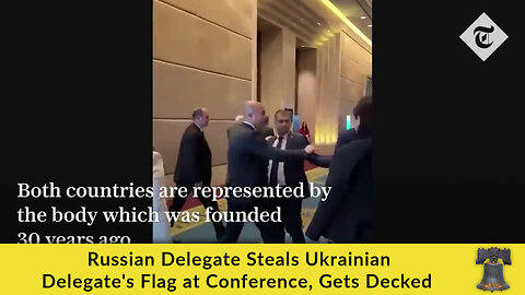 Russian Delegate Steals Ukrainian Delegate's Flag at Conference, Gets Decked