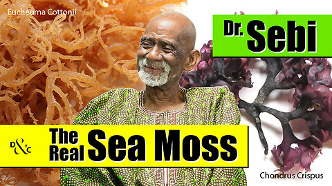 Dr Sebi Talks About The Real Sea Moss Health Benefits
