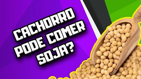 Cachorro pode comer Soja? | Dr. Edgard Gomes | Alimentação natural para Cães