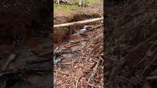 Relaxing running water in the forest
