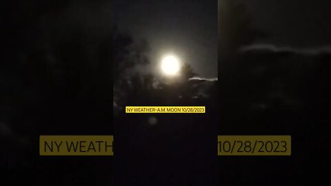 NY WEATHER ~ THE MORNING MOON 10/28/2023