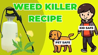 Eco Friendly and Fido Friendly: A Pet Safe Weed Killer Recipe