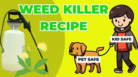 Eco Friendly and Fido Friendly: A Pet Safe Weed Killer Recipe