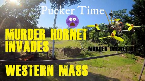 Murder Hornet Invades Western Mass (GepRC Sparrow 4s Freestyle)