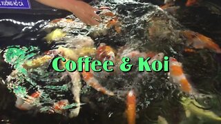 King Koi Coffee - there's something fishy about this place!
