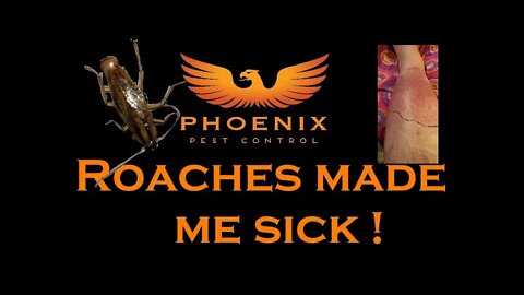 Roaches Made me Sick! #whatbugsme