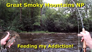 Great Smoky Mountains NP - Fly Fishing for Trout - Feeding my Addiction!