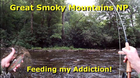 Great Smoky Mountains NP - Fly Fishing for Trout - Feeding my Addiction!
