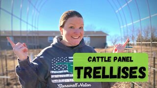 How to Install Cattle Panel Trellises In Your Garden