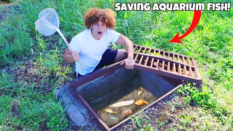 I Found A DRIED UP SEWER Filled With AQUARIUM FISH!