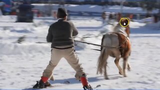 Discussing Horses On Snow - Speed, Dangers & Fun - 1200 Pounds Going Fast On Snow What Can Go Wrong?