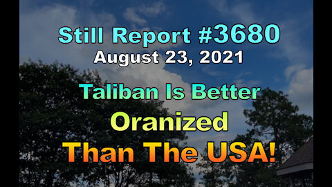 Taliban Better Organized Than U.S., 3680