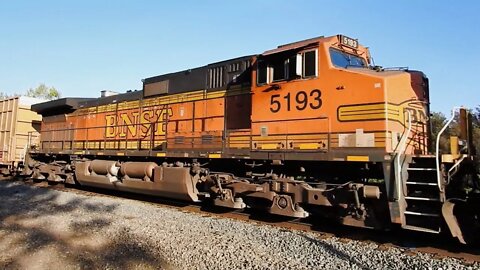 BNSF Power Norfolk Southern 11Z Trains on the Sunbury Line at Hudson Pa. Aug 28, 29 2022 #BNSF