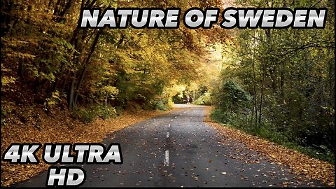 BEAUTIFUL NATURE OF SWEDEN 4K ULTRA HD MIND RELAXING 2023