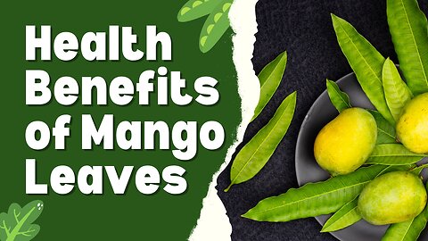9 Health Benefits of Mango Leaves You Might Not Know About