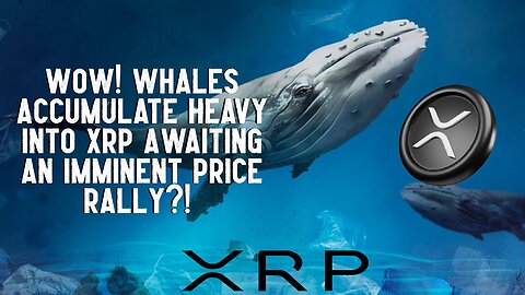 Wow! Whales Accumulate Heavy into XRP Awaiting An Imminent Price Rally?!