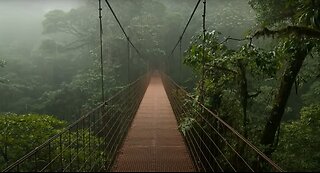 Rain and Thunder Sounds For Sleep, Relaxation, Meditation, Study And Stress Relief. ASMR