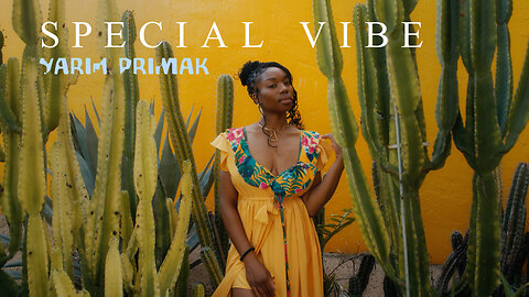 “Special Vibe” by Yarin Primak