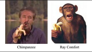 Banana Man Ray Comfort