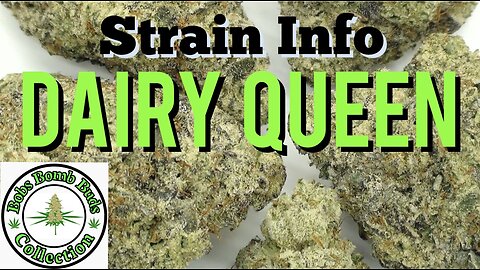 Dairy Queen Strain By Subcool's The Dank & From Chronic Farms Dispensary