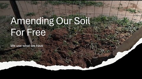 Amending Our Soil For Free