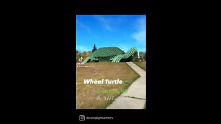 Wheel Turtle🐢