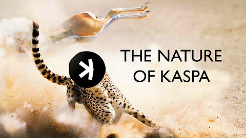 The Nature of Kaspa