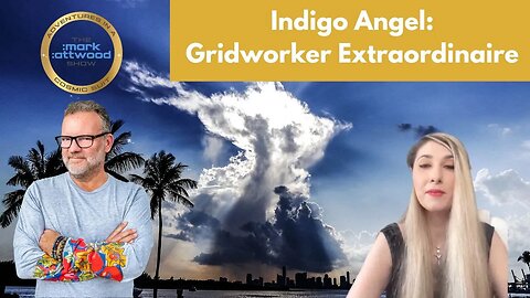 Indigo Angel: Gridworker Extraordinaire - 16th Feb 2023