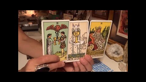 Tarot Reading ~ Whitney Heard & Johnny’s Career Future 🔮 & Chat About The Professor Film 🎥 🌟🎬