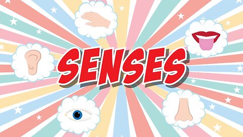 Five Senses Song | Fun Educational Video For Kids