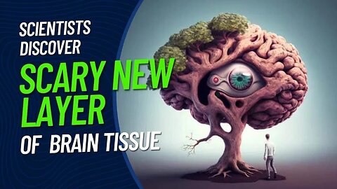 Scientists Discover SCARY New Layer Of Brain Tissue That Could Change The Way We Think FOREVER