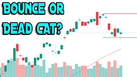 BOUNCE OR DEAD CAT BOUNCE? - STOCK MARKET UPDATE